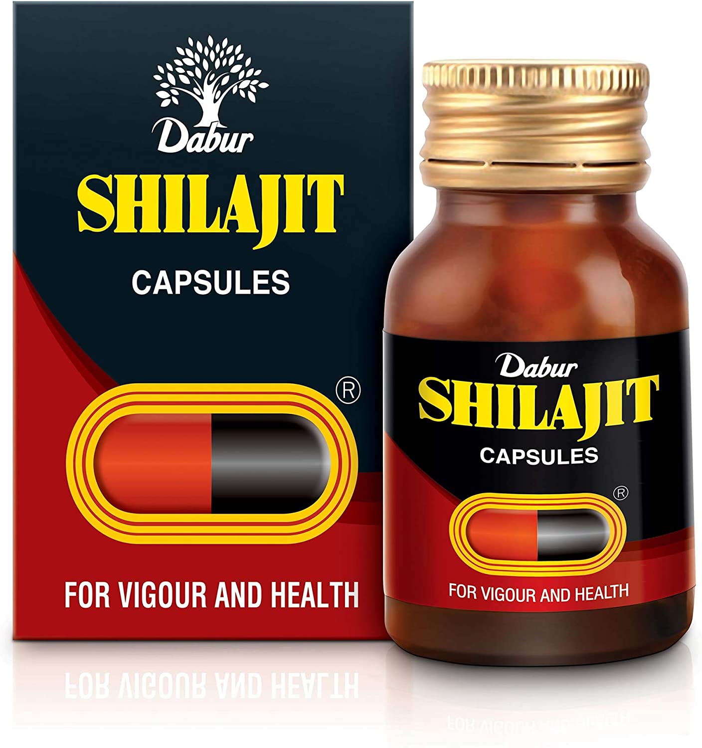 Dabur Shilajit 100 Capsules